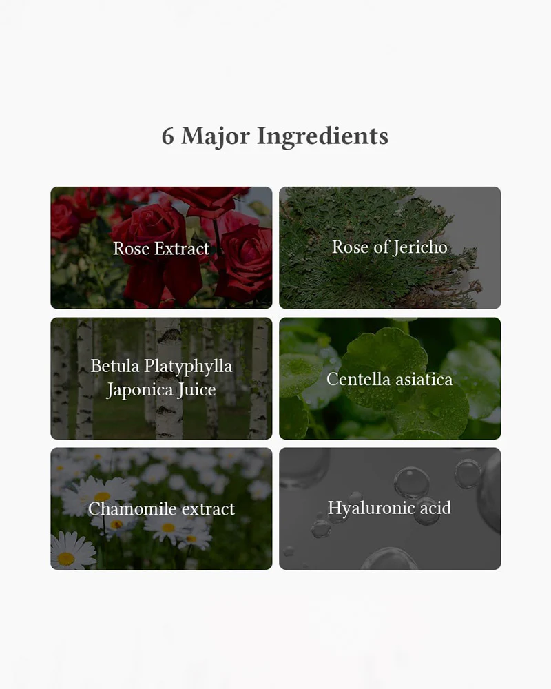 Dr. Althea Oasis Soothing Mask - Image 4