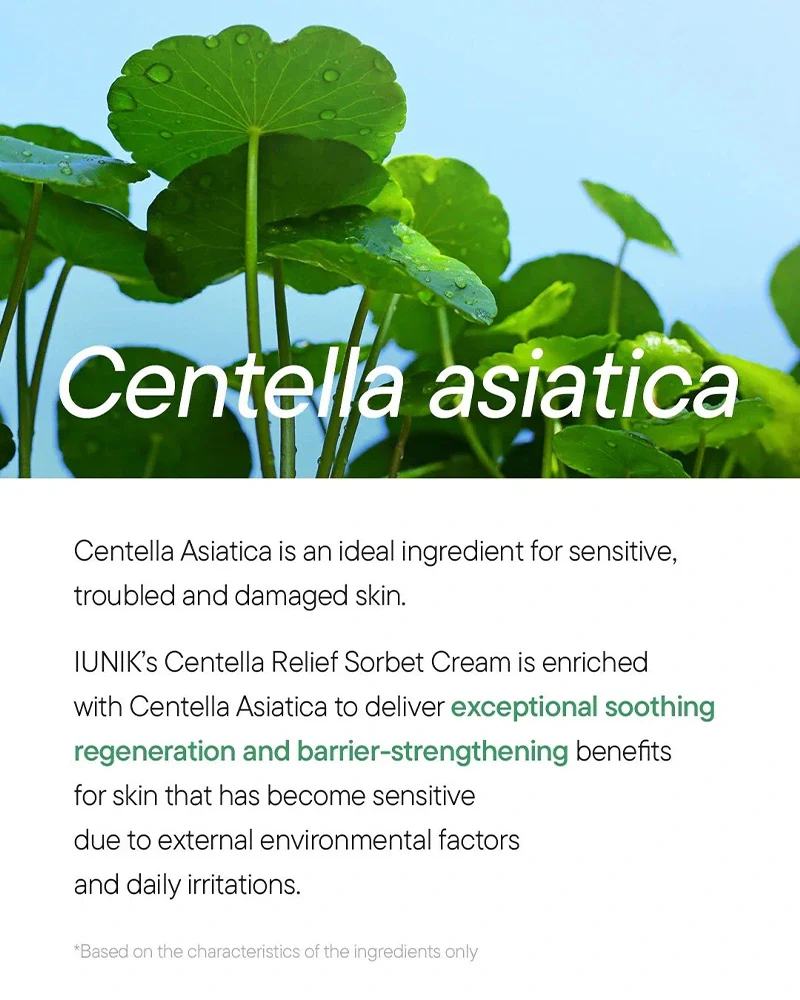 iUNIK Centella Relief Sorbet Cream - Image 7