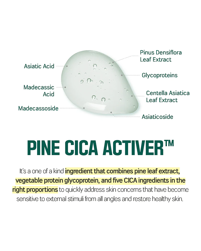 ROUND LAB Pine Calming Cica Ampoule - Image 4