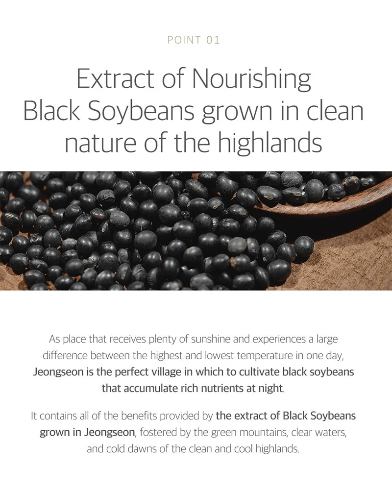 ROUND LAB Soybean Cleanser - Image 4